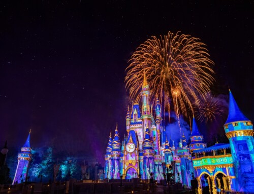 Experience the Magic Kingdom Castle at Night