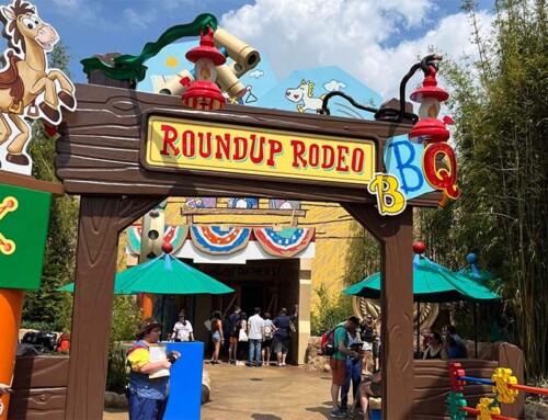 Roundup Rodeo Review